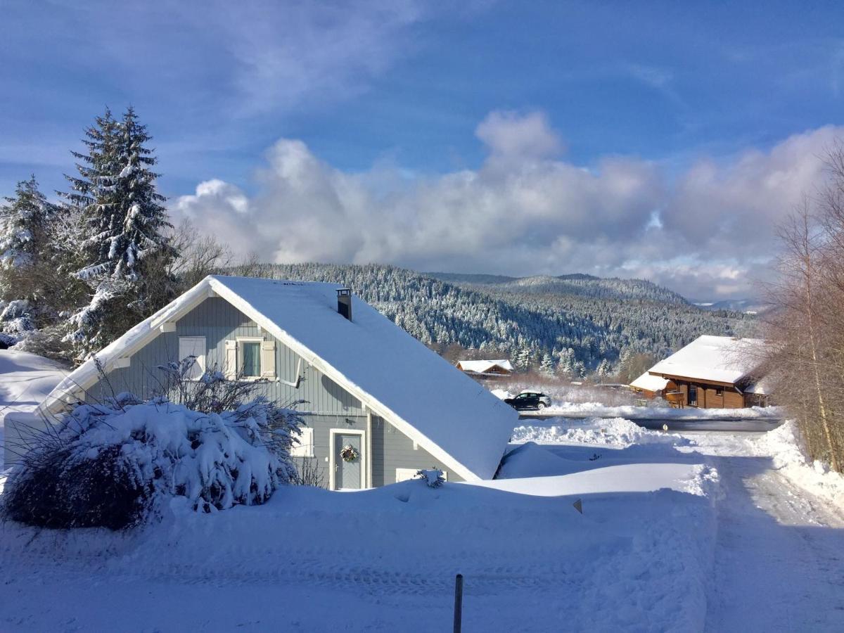 Chalet Le Flocon Bleu - Mauselaine avec vue sur le Lac de Gérardmer Exterior foto